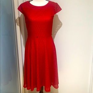 cb Established 1962 dress